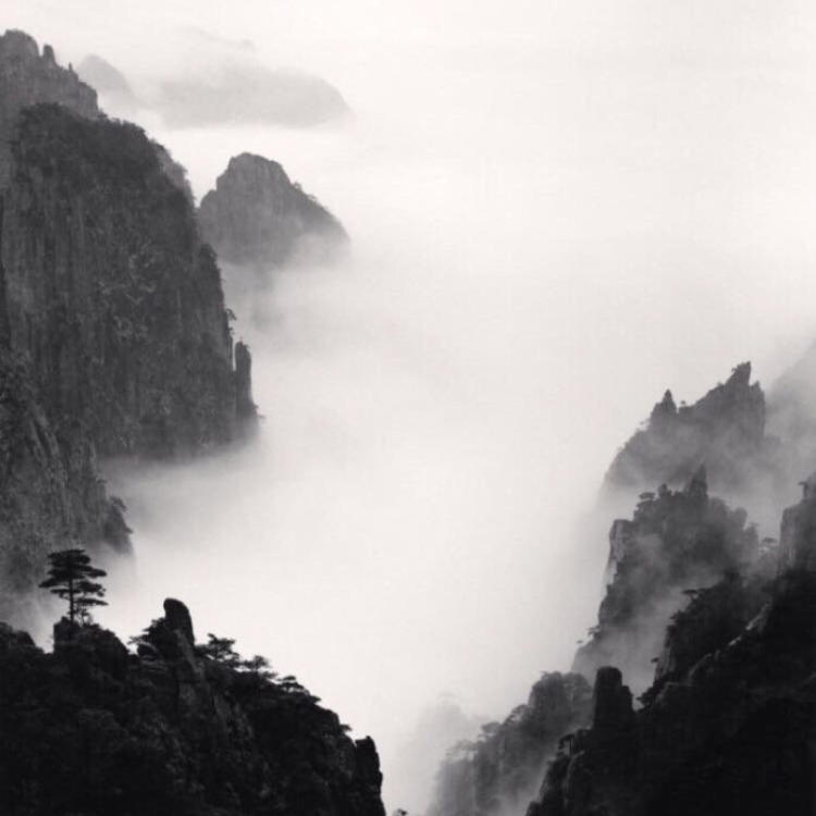 松尾谕（饰 未知角色） - 多语言字幕在线观看 - 平板视频